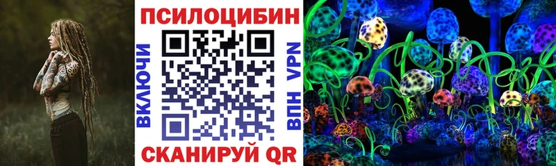 omg ТОР  Покачи  Галлюциногенные грибы прущие грибы 
